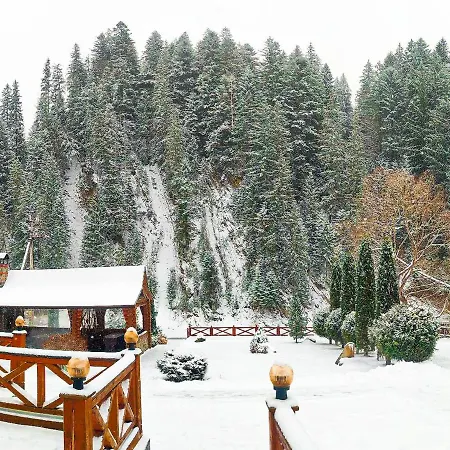 Forest House-2
